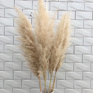 IFG 1.5m Length Wedding Artificial Pampas Natural <strong>Dried</strong> Decorative Pampas <strong>Grass</strong> - Product Image 3