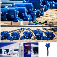 Pompe submersible électrique Blue Jacket Pump Franklin 0.75hp, pompe à turbine submersible AC220V pour station-service