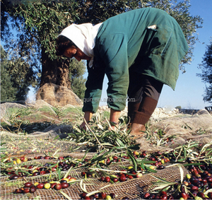Catégorie de produit 100% Virgin New HDPE PE Agriculture Olive Harvest Collecting Net <span class=keywords><strong>Golf</strong></span> Diviseurs - Product Image 5
