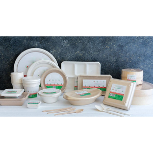Custom printed design eco biodegradable sugarcane bagasse take away containers food takeout craft lunch paper packaging pulp box