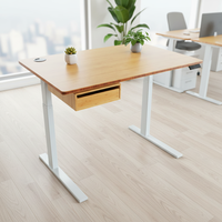 Table d'ordinateur en bambou de qualité supérieure, réglable en hauteur, bureau en bambou massif, bureau debout Ecomax