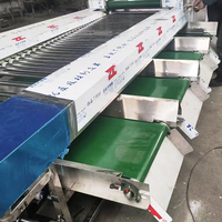 YOUBAN Commerciële Weegscheidsmachine voor het sorteren van fruit en groenten, geschikt voor het sorteren van aardappelen, uien, mango's en aardbeien.