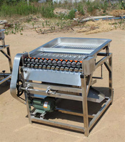 Machine à peler les pois verts entièrement automatique 400 kg/h, machine à décortiquer les pois