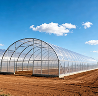 Serre tunnel Shine Tech, fabrication professionnelle, petite structure simple, serre agricole en film PE