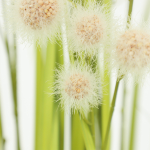 Uniek Ontwerp Faux Plant Bonsai Met Kleurrijke Bloem Bal Voor Huis Tuin Decoratie Kunstmatig Uiengras - Product Image 3