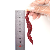 Piment rouge séché entier, assaisonnement piquant naturel séché au soleil pour Hot Pot, huile de piment, vente en gros directe d'usine, Halal