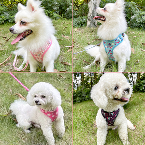Juego de arnés de perro abeja <span class=keywords><strong>con</strong></span> logotipo de lujo suave personalizado colorido ajustable cachorro impermeable suministros para mascotas <span class=keywords><strong>con</strong></span> precio de decoración de cinta - Product Image 3