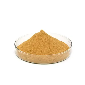 Wholesale Natural Morinda Citrifolia Extract Organic Noni Fruit Extract Powder