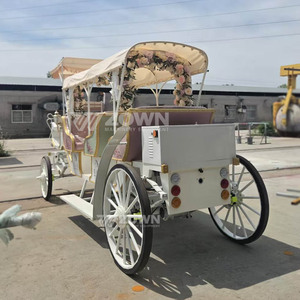 Carroza Eléctrica Turística ZOWN de 4 Ruedas, con Batería, de Lujo, Moderna, con 2 Años de Garantía, para Bodas - Product Image 2