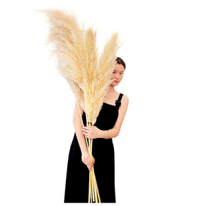 Ramo <span class=keywords><strong>de</strong></span> Flores Secas Naturales <span class=keywords><strong>de</strong></span> Junco Grande - Decoración <span class=keywords><strong>de</strong></span> Flores Eternas para el Día <span class=keywords><strong>de</strong></span> San Valentín, Pascua, Año Nuevo - Venta al por Mayor <span class=keywords><strong>de</strong></span> Fábrica China - Product Image 2