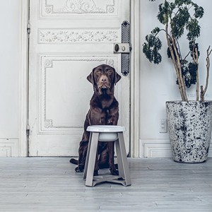 Comedero de lujo ajustable para mascotas, cuenco ecológico de cerámica duradera para perros y gatos, equipo de comedor, buen diseño, soporte elevado Pecolo - Product Image 6