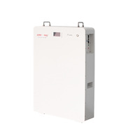 Conteneur de stockage d'énergie domestique de petite taille, sur pied, pour batteries LiFePO4 51.2V, avec équipement CAN
