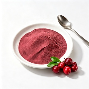 Poudre de jus de canneberge de qualité alimentaire 99% Poudre de canneberge lyophilisée - Product Image 3