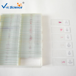 Portaobjetos de Microscopio Preparados para la Enseñanza de la Educación Biológica, Especímenes Animales y Humanos, 50 Piezas, Juego de Portaobjetos de Histología Humana para Microscopio - Product Image 3