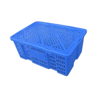 Vente chaude, caisse en plastique empilable, résistante, en maille, pour la logistique, le stockage, l'agriculture, réutilisable, de qualité alimentaire, étanche, pour les fruits