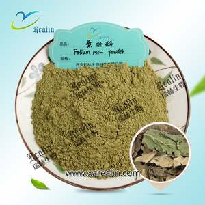 Poudre de jus de feuilles de mûrier de qualité alimentaire Soluble dans l'eau Supplément d'extrait de feuilles de mûrier pour boissons - Product Image 3