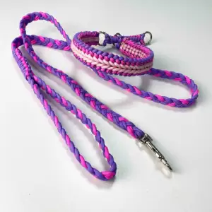 pet lead collars custom paracord luxury personalized harness 5cm tactical small dog braided set dog leash a d collar