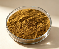 Poudre de feuilles de menthe poivrée soluble dans l'eau, extrait de menthe poivrée en poudre, fourni par l'usine