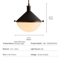 Suspension en fer style industriel nordique pour cuisine et hôtel, avec verre laiteux givré, LED E26, vente en gros usine transfrontalière, suspension en verre Aster