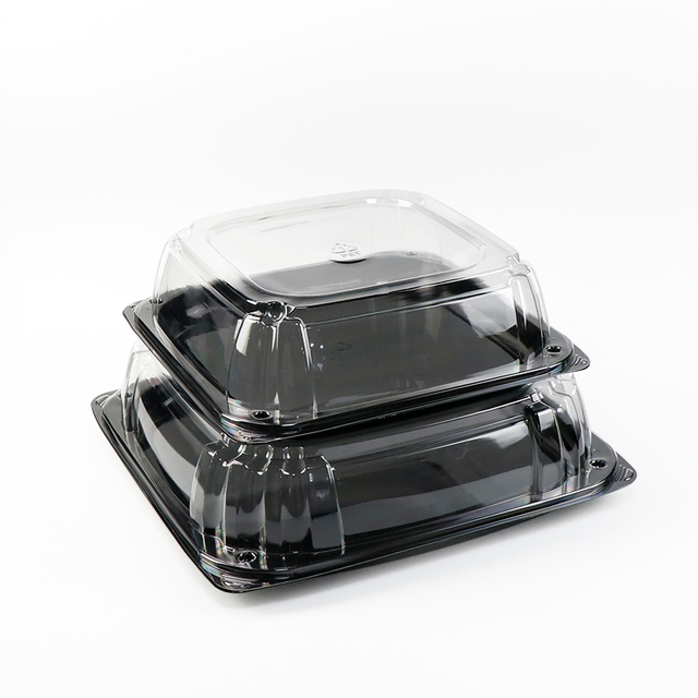 Catering Platter Box Plastic Disposable Catering Appetizer Trays With Lids Sandwich Party Platter Trays With Lids