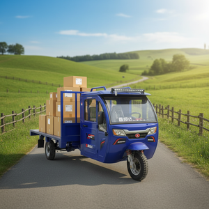 Tricycle Three Wheels Vehicle Truck 530mm Shock Absorber Closed Body Type 2000 Load Capacity 50-70km <b>Range</b> 1000W Power - Product Image 1