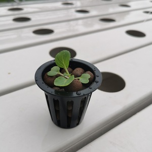 <span class=keywords><strong>Pot</strong></span> de plante hydroponique pas cher 2 pouces Net tasse panier de plantation pour système hydroponique NFT - Product Image 4