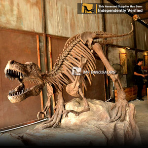 Mi <span class=keywords><strong>DINO</strong></span> DS-038 juegos tamaño <span class=keywords><strong>T</strong></span>-<span class=keywords><strong>Rex</strong></span> dinosaurio esqueleto de atracción - Product Image 6