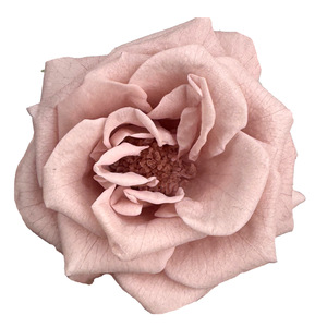 Vente en gros de grandes têtes de roses éternelles préservées, type marguerite, pour bouquets de mariage, décoration intérieure et fête des Mères - Product Image 3
