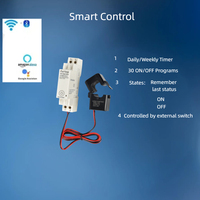 Interrupteur intelligent ZigBee avec minuterie, certifié CE, 100-240V AC, rail DIN, moniteur de puissance, compteur de consommation électrique (kWh), voltmètre, ampèremètre