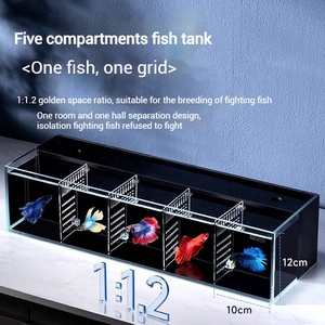 Aquarium de Luxe Écologique pour Poissons Betta Thaïlandais, Verre Multi-Cellules Super Blanc, Idéal pour Salon et Salle à Manger, Optimisation de l'Espace - Product Image 3