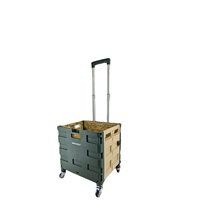 Chariot de courses pliable en plastique à quatre roues avec couvercle, petit chariot portable léger pour la maison et les trajets quotidiens
