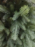 Deluxe Neues Modell Reiner PE Extra-Dichter Brandneuer Realistischer Baum-Szenen-Arrangement Weihnachtsbaum