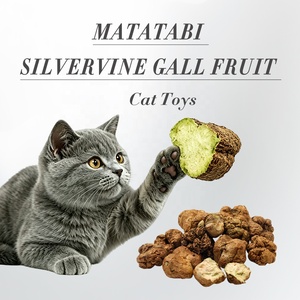 OEM ODM Hot Selling Natural Actinidia Polygama Fruit Freeze Dried Silvervine Gall Fruit Matatabi Fruit for Cat Toys - Product Image 2