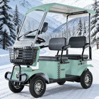 Vente en gros de scooter électrique à 4 roues de 800 W avec toit en alliage d'aluminium, longue portée, étanche