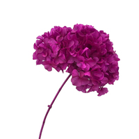 Hydrangea alami disiapkan burgundy hydrangea asli diawetkan bayi segar merah muda kualitas tinggi hydrangeas untuk acara pernikahan dekorasi