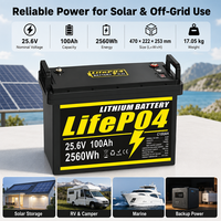 Batterie au lithium LiFePO4 à décharge profonde JFT 25,6 V 100 Ah 2560 Wh 80 A avec indicateur de tension continu et charge 60 A, 6000 cycles, -10°C~50°C