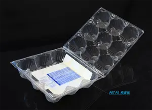 Fabrika profesyonel üretim otomatik termoform makinesi plastik yumurta tepsisi yapma makineleri