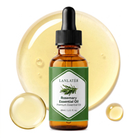 Huile Essentielle de Romarin Premium Bio Naturelle Douceur Soin Capillaire Sélectionnée Marque Blanche