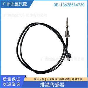 Sensor de Temperatura DelineSS OE 13628514730 para Monitoreo de Gases de Escape de Automóviles - Product Image 5