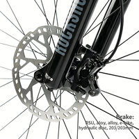 Vélo de montagne à suspension intégrale, fourche à air MgAl, amortisseur arrière à air DNM, M6100-12S, frein à disque hydraulique 4 pistons, pneu professionnel MAXXIS