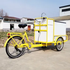 Three Wheel Icecream Best Adult Tricycle Mobile Electric Ice Cream Cargo Bike With Freezer For Sell Cold Drinks Ice cream bike