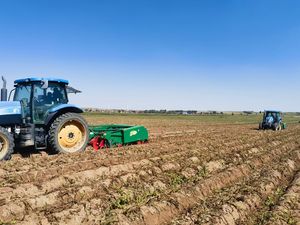 Mesin pemanen kentang penggali pemanen kentang manis pertanian - Product Image 5
