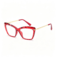 Lunettes anti-lumière bleue rétro SM2500, monture PC unisexe avec accents métalliques dorés