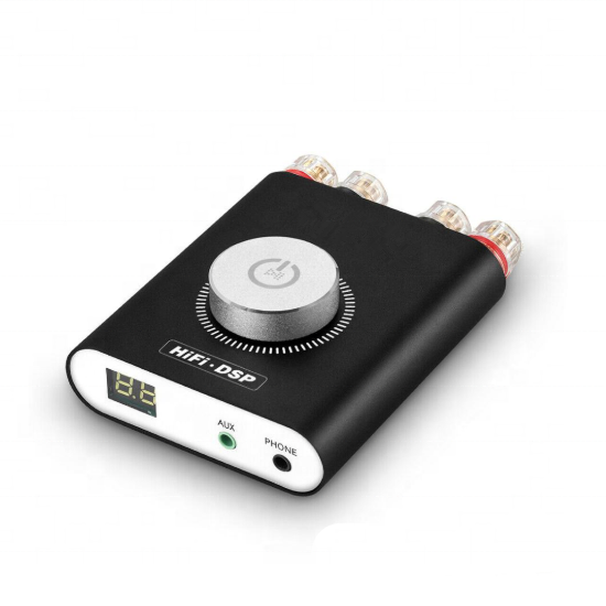 Audio NS-20G Hifi DSP Stereo Headphone Amplifier Mini 5.0 TPA3116 Amplifier Board Digital Power Amplifier 200W Without Adapter