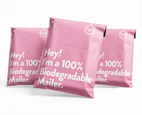 100 PCS/PACK Sacs d'expédition en polyéthylène, enveloppes d'expédition, sacs de courrier pour la poste