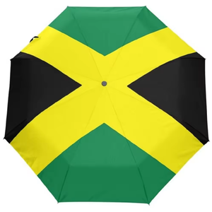 Parapluie Drapeau Honduras Coupe-Vent Anti-UV Pliant Portable de Voyage Ouverture/fermeture Automatiques Panneaux Personnalisables - Product Image 2