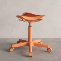 Chaise de bureau ergonomique à siège triangulaire pour la maison et le bureau, tabouret de laboratoire, siège réglable pour le soin de la santé et les salons de beauté