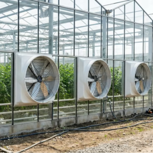 Ventilateur d'extraction pour élevage avicole à haut débit d'air, ventilateur de refroidissement pour poulailler, ventilateur de ventilation pour hangar d'élevage moderne, ventilateur de serre - Product Image 1