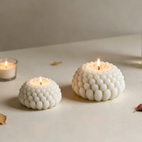 Moules en silicone pour bougies artistiques succulentes grandes et petites - Écologiques et non toxiques