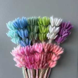 ZanTe En gros Herbe décorative séchée <span class=keywords><strong>Lagurus</strong></span> Ovatus 60 têtes multicolores, Herbe queue de lapin - Product Image 1